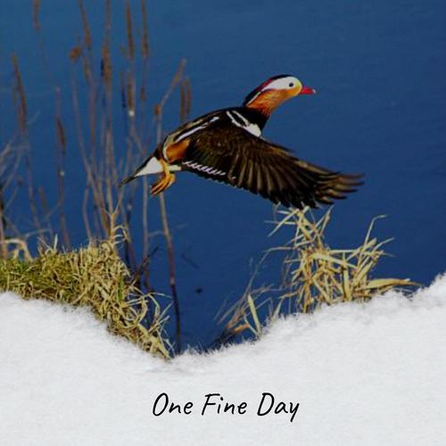 One Fine Day