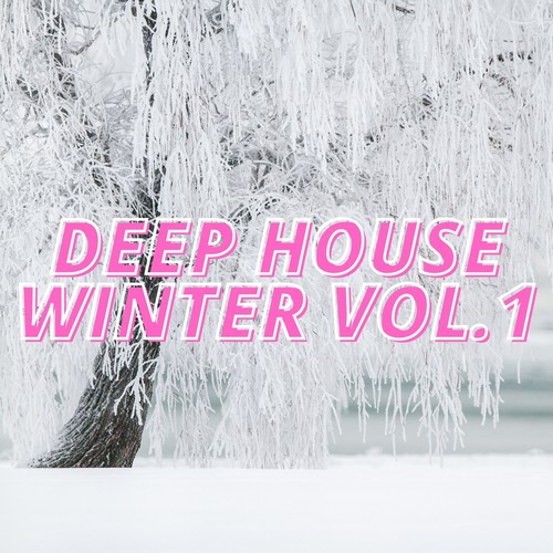 Deep House Winter Vol.1