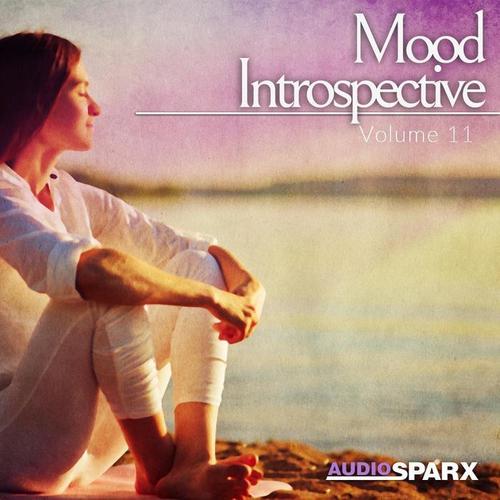 Mood Introspective Volume 11