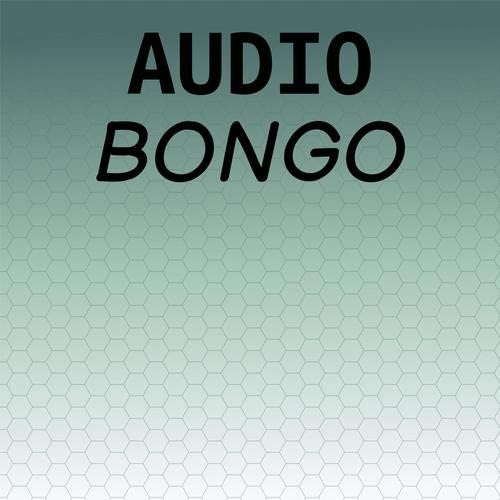 Audio Bongo