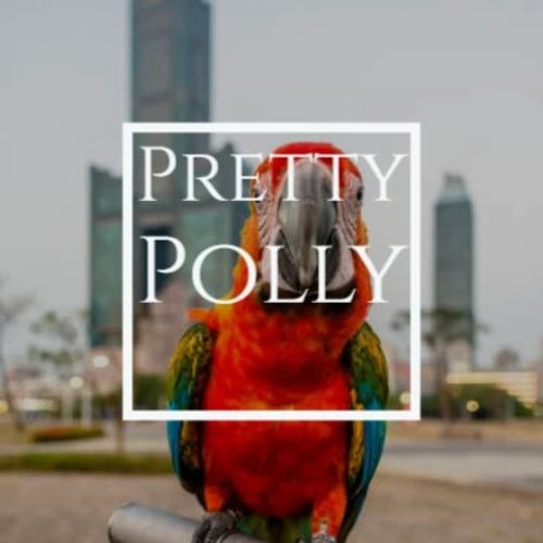 Pretty Polly