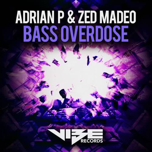 Bass Overdose