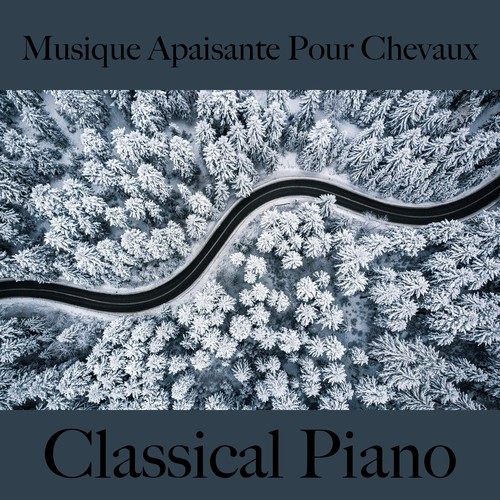 Musique apaisante pour chevaux: classical piano - la meilleure musique pour la relaxation