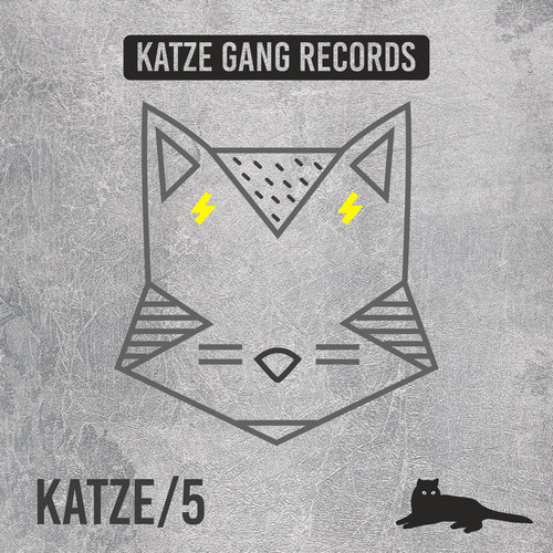 Katze 5