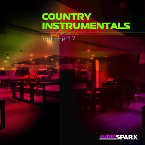 Country Instrumentals Volume 17