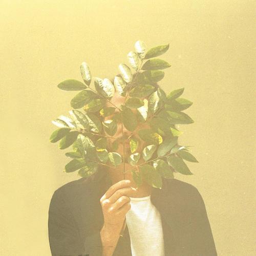 French Kiwi Juice