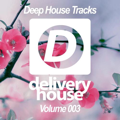 Deep House Tracks (Volume 003)