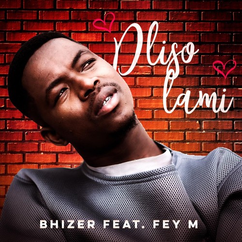 Dliso Lami (feat. Fey M)