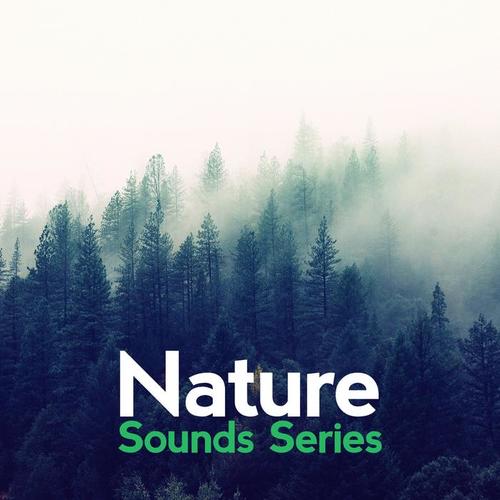 Nature Sounds Series