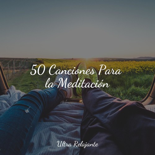 50 Canciones Para la Meditación