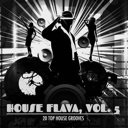 House Flava, Vol. 5 (20 Top House Grooves)