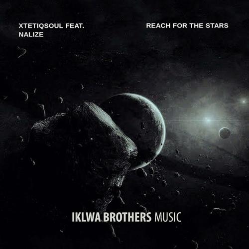 Reach For The Stars (feat. Nalize) [Remixes]