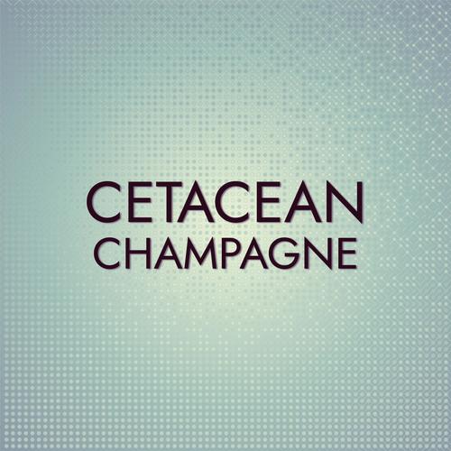 Cetacean Champagne