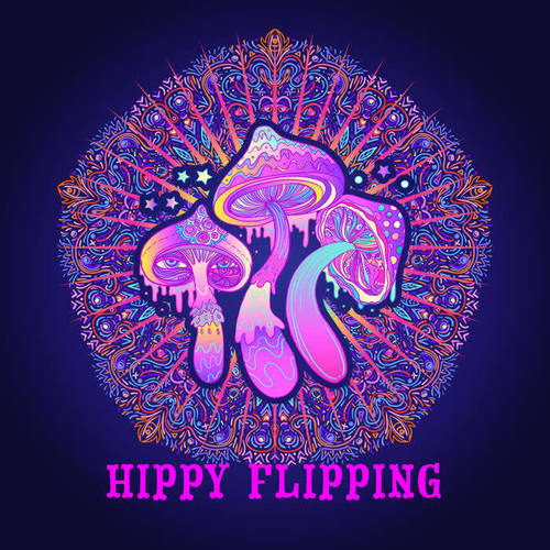 Hippy Flipping (Melodic House and Tech)