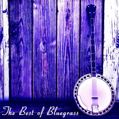 The Best of Bluegrass: Bill Monroe, Dolly Parton, Lester Flatts, Earl Scruggs, Hank Williams & More!