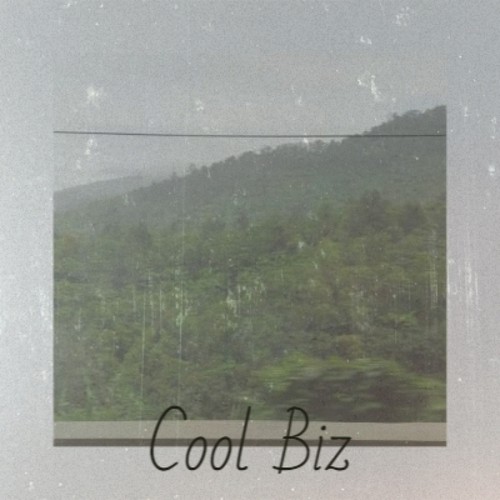 Cool Biz