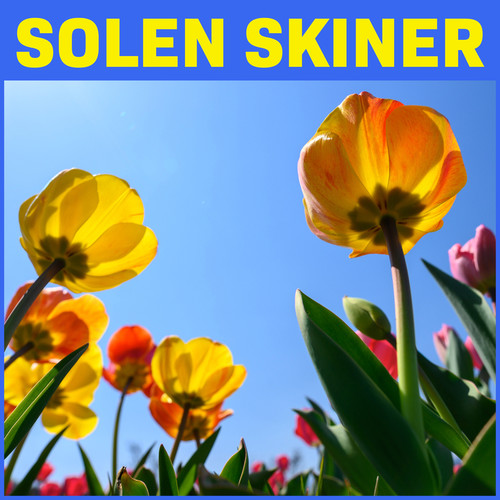 Solen Skiner (Explicit)