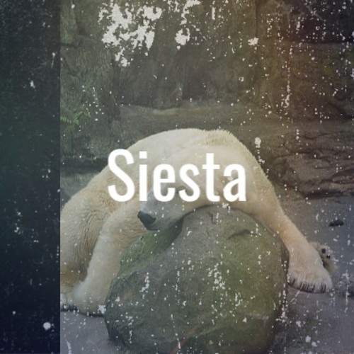 Siesta