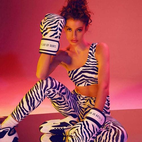 Zebra (Explicit)