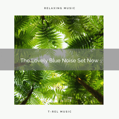 The Lovely Blue Noise Set Now