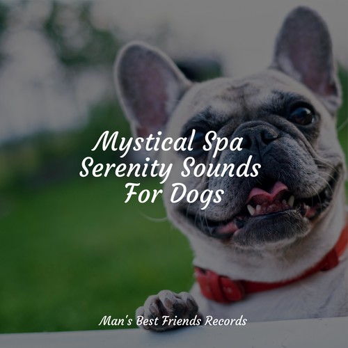 Mystical Spa Serenity Sounds For Dogs