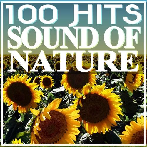 100 Hits Sound of Nature (Relaxing Music)