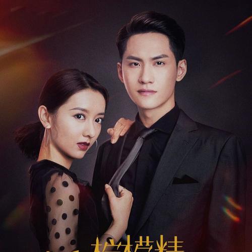 亲爱的柠檬精先生网剧
