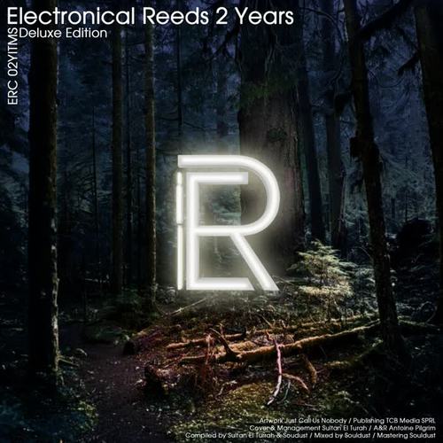 Electronical Reeds 2 Years