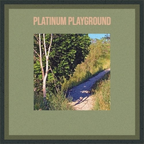 Platinum Playground