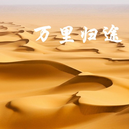 归途有风