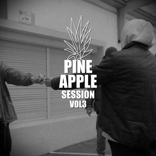 Pineapple Session, Vol. 3 (feat. Slowmoe, Yung Obama, Karl Rich, PAS, Helmut Hustle, 9T9, DJ Lowz & Rakete) [Explicit]