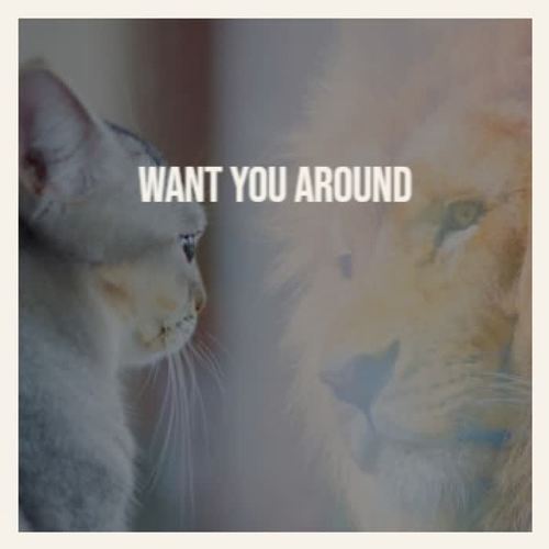 Want You Around