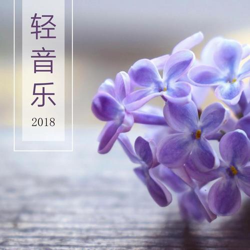 轻音乐 2018 - 温柔催眠曲为了睡觉，做好梦和安静下来