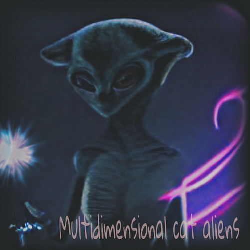 Multidimensional Cat Aliens