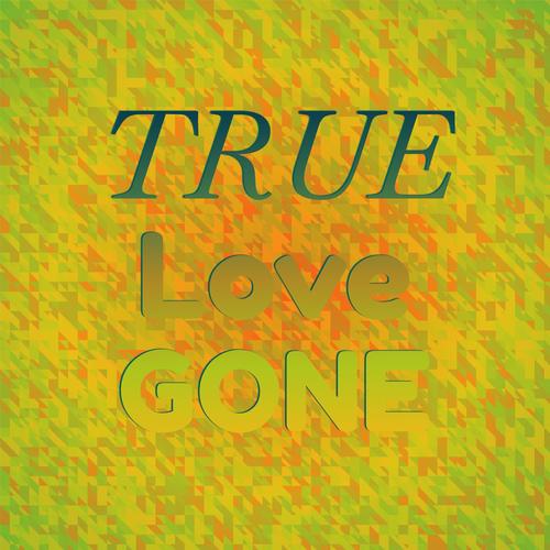 True Love Gone