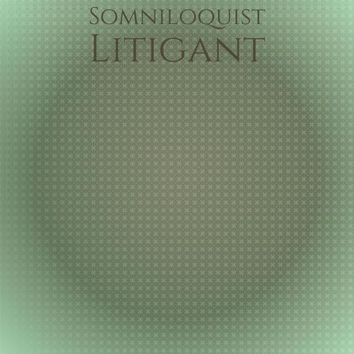 Somniloquist Litigant