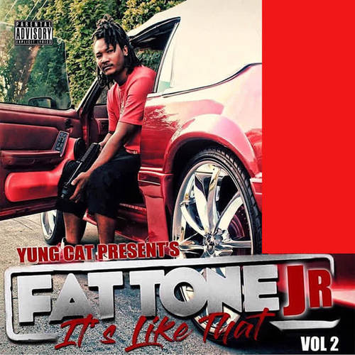 Fat Tone Jr It's Like That, Vol. 2 (Explicit)