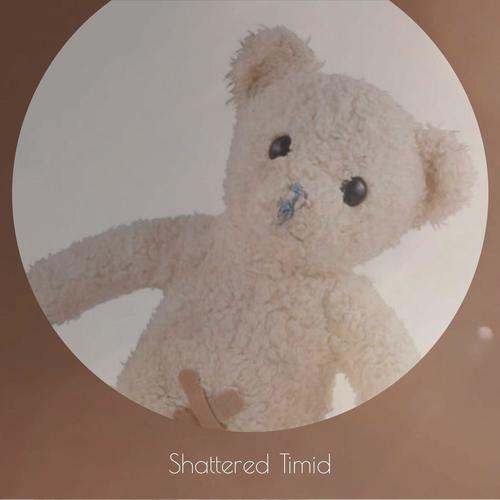 Shattered Timid