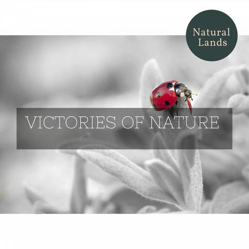 Victories of Nature