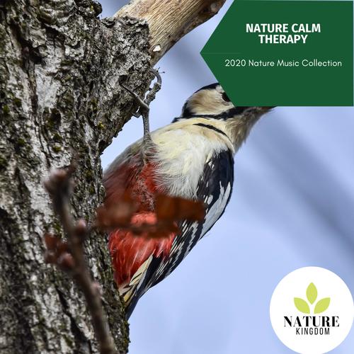 Nature Calm Therapy - 2020 Nature Music Collection