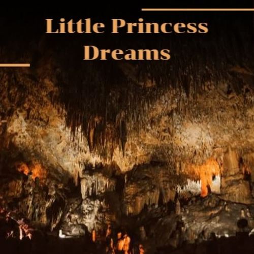 Little Princess Dreams