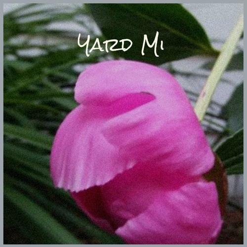 Yard Mi