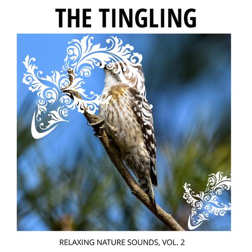 The Tingling - Relaxing Nature Sounds, Vol. 2