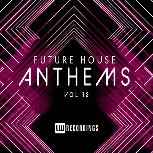 Future House Anthems, Vol. 13