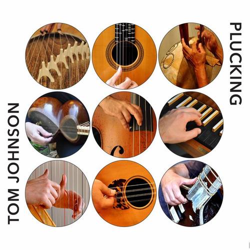 JOHNSON, T.: Plucking / Rational Melodies / Failing / Doublings (Alviso, Bjorkedal, Kozue Matsumoto, Pourafar, Valitutto, Just Strings)