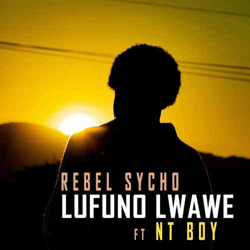 Lufuno Lwawe