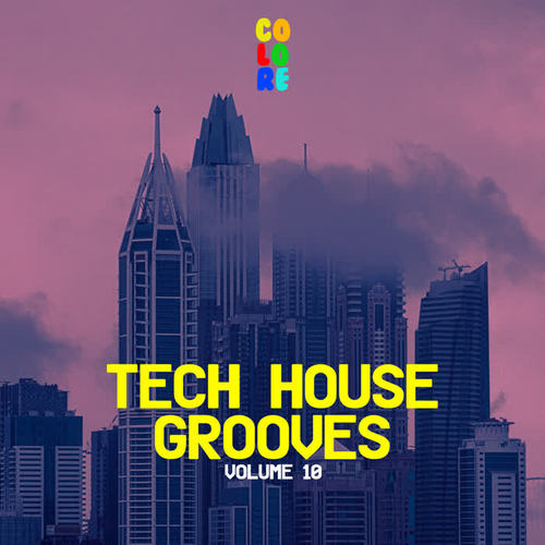 Tech House Grooves 10