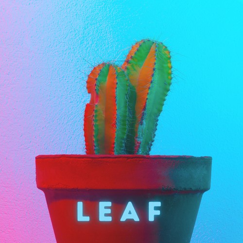 Leaf