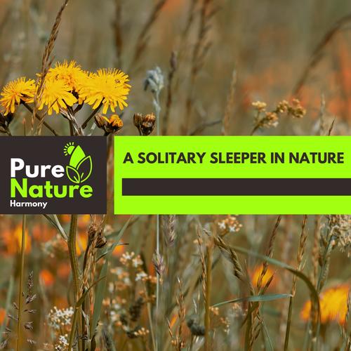 A Solitary Sleeper in Nature