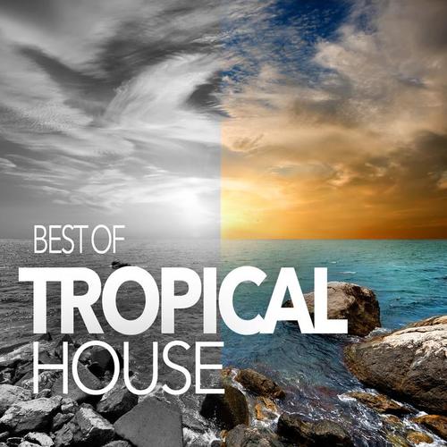 BEST OF TROPICAL HOUSE